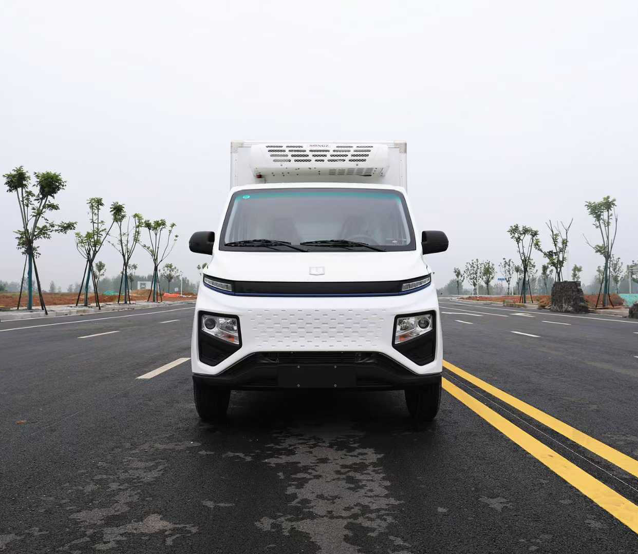 吉利遠(yuǎn)程F1E純電動(dòng)冷藏車8方圖片2